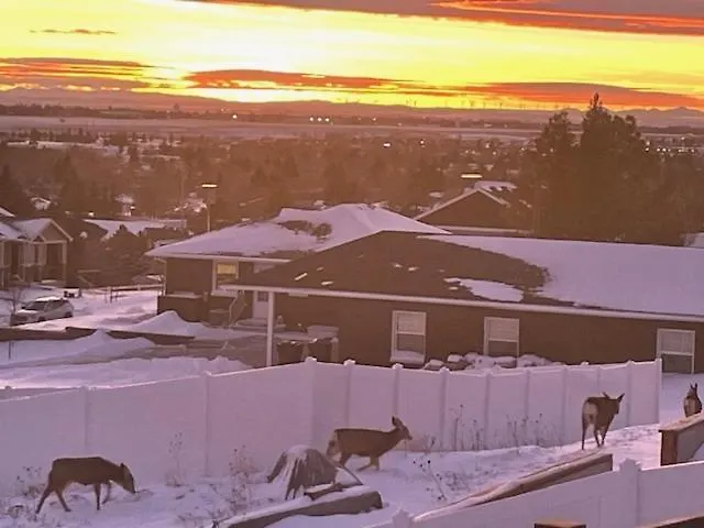Holiday home Modern Home, Breathtaking Views Cheyenne